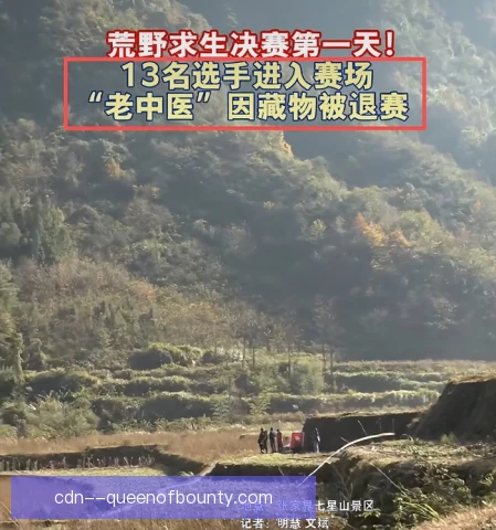 田野复出适应过程：从久疏战阵到重拾节奏